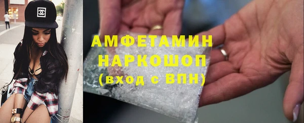 сатива Балахна