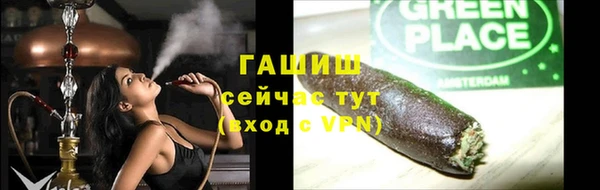 сатива Балахна